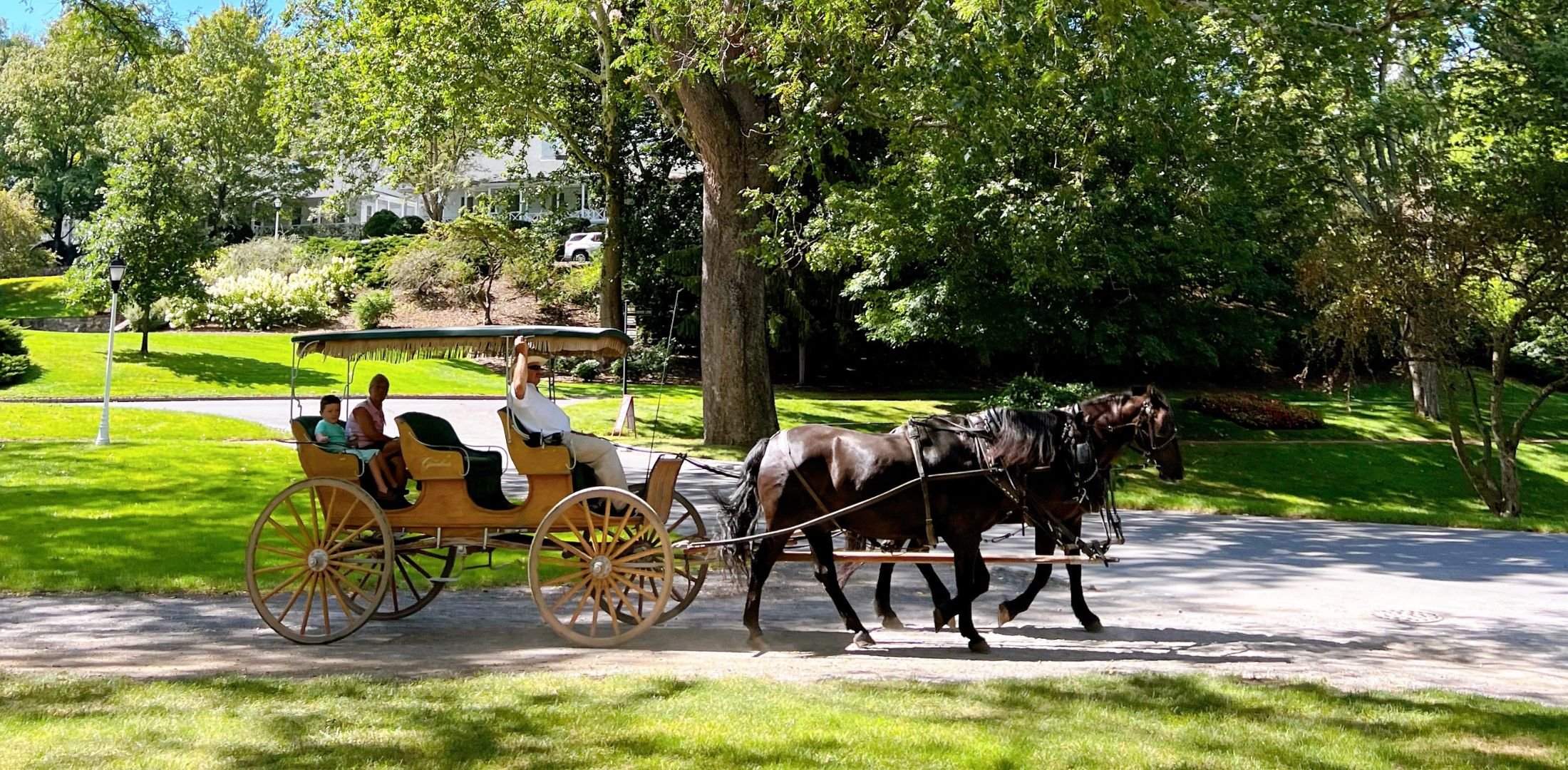 Carriage Ride - Summer