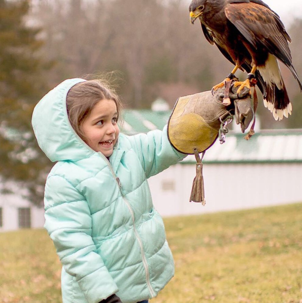 hawk and kid