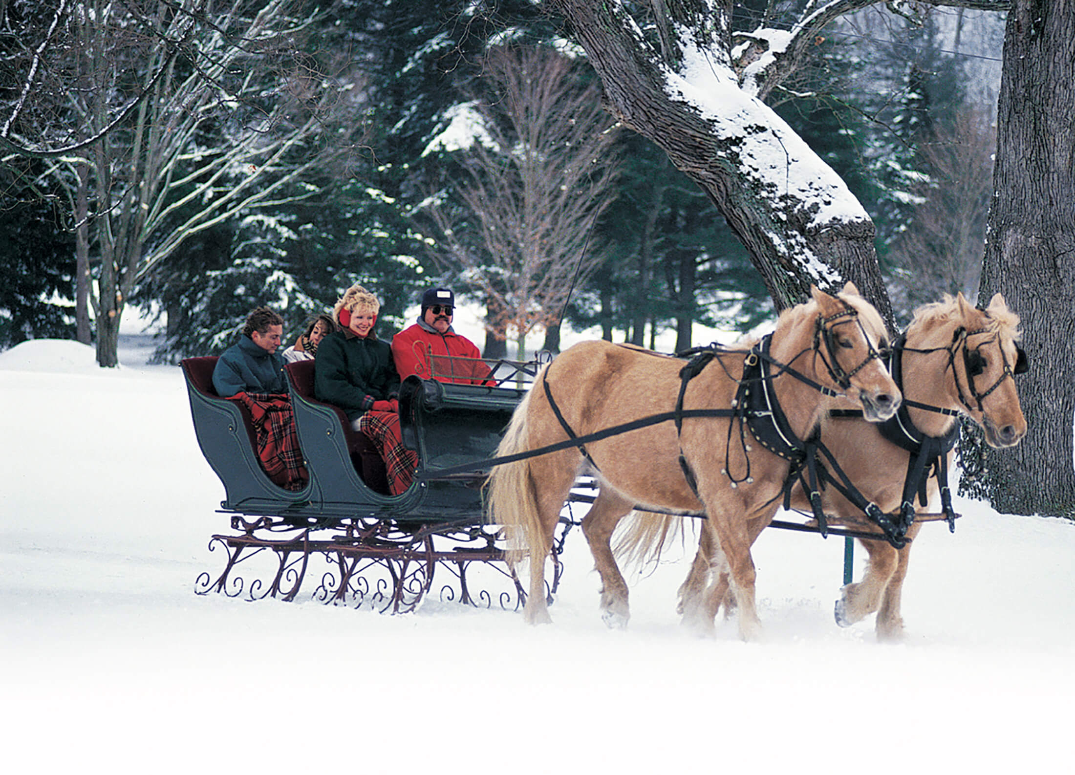 carriage sleighride