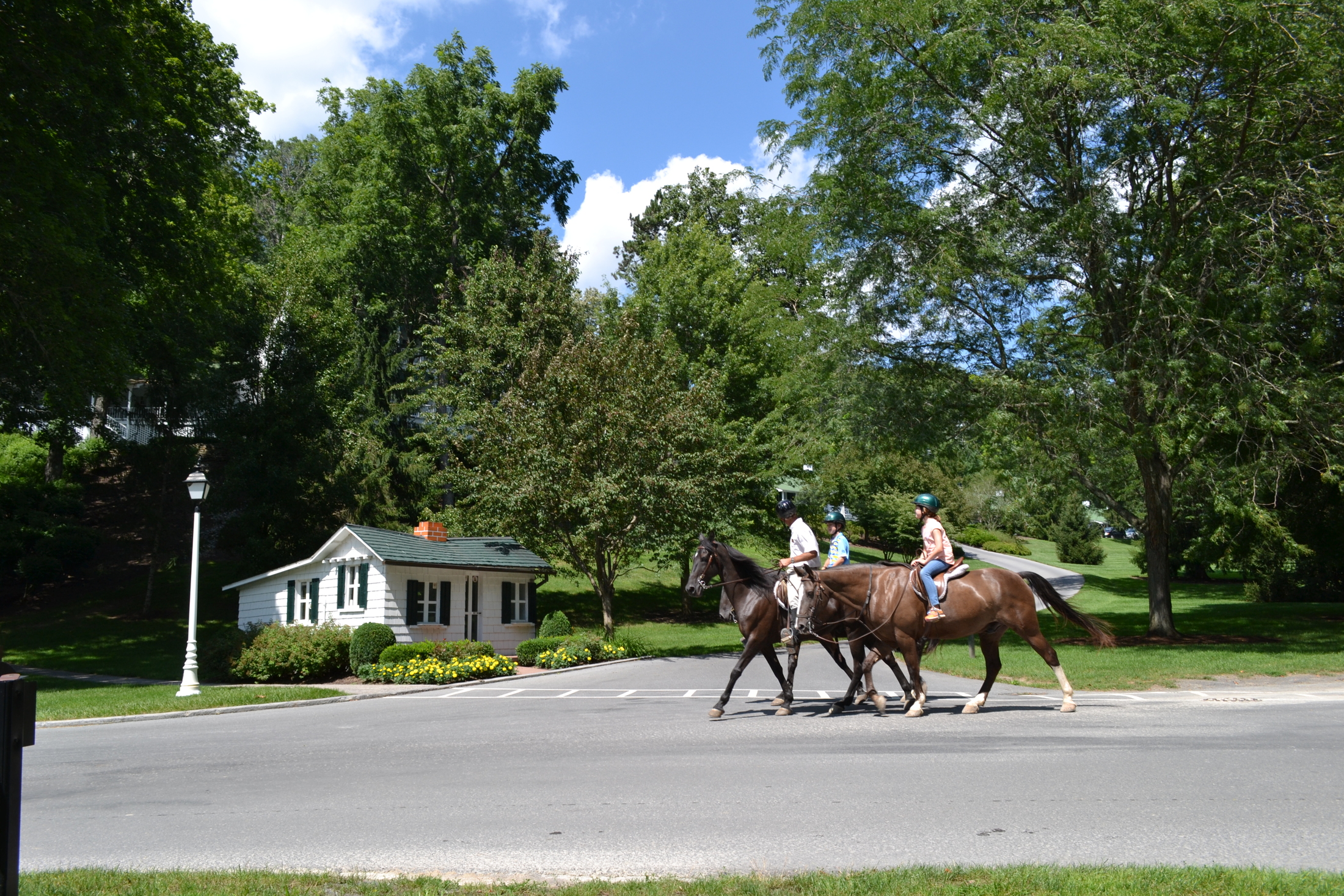 horse-back-riding-park