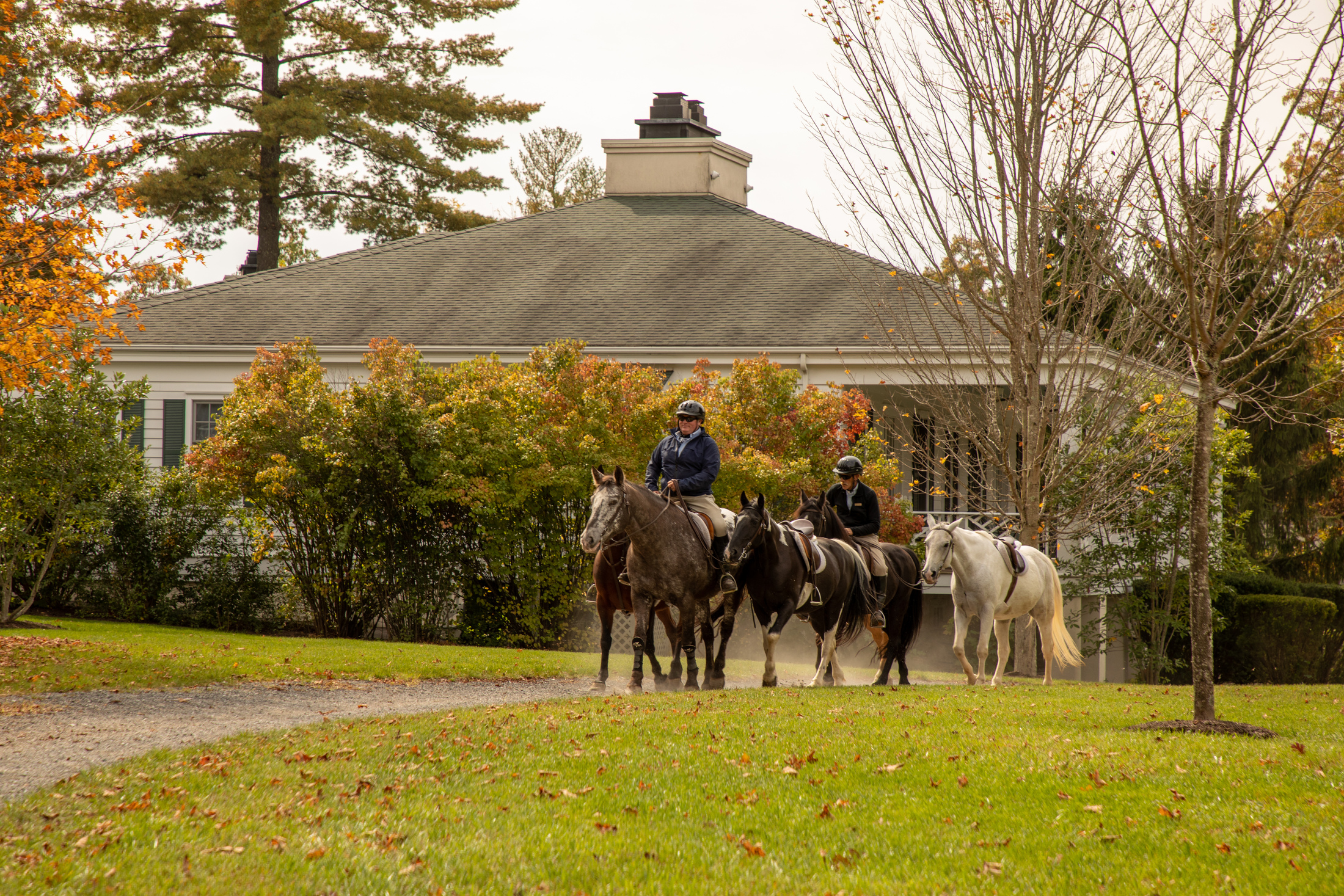 horse-back-riding-park