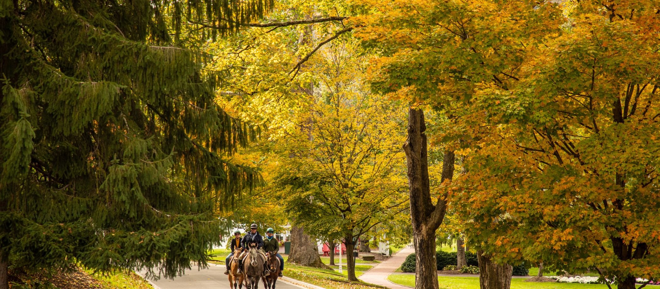 group-horse-back-riding-park