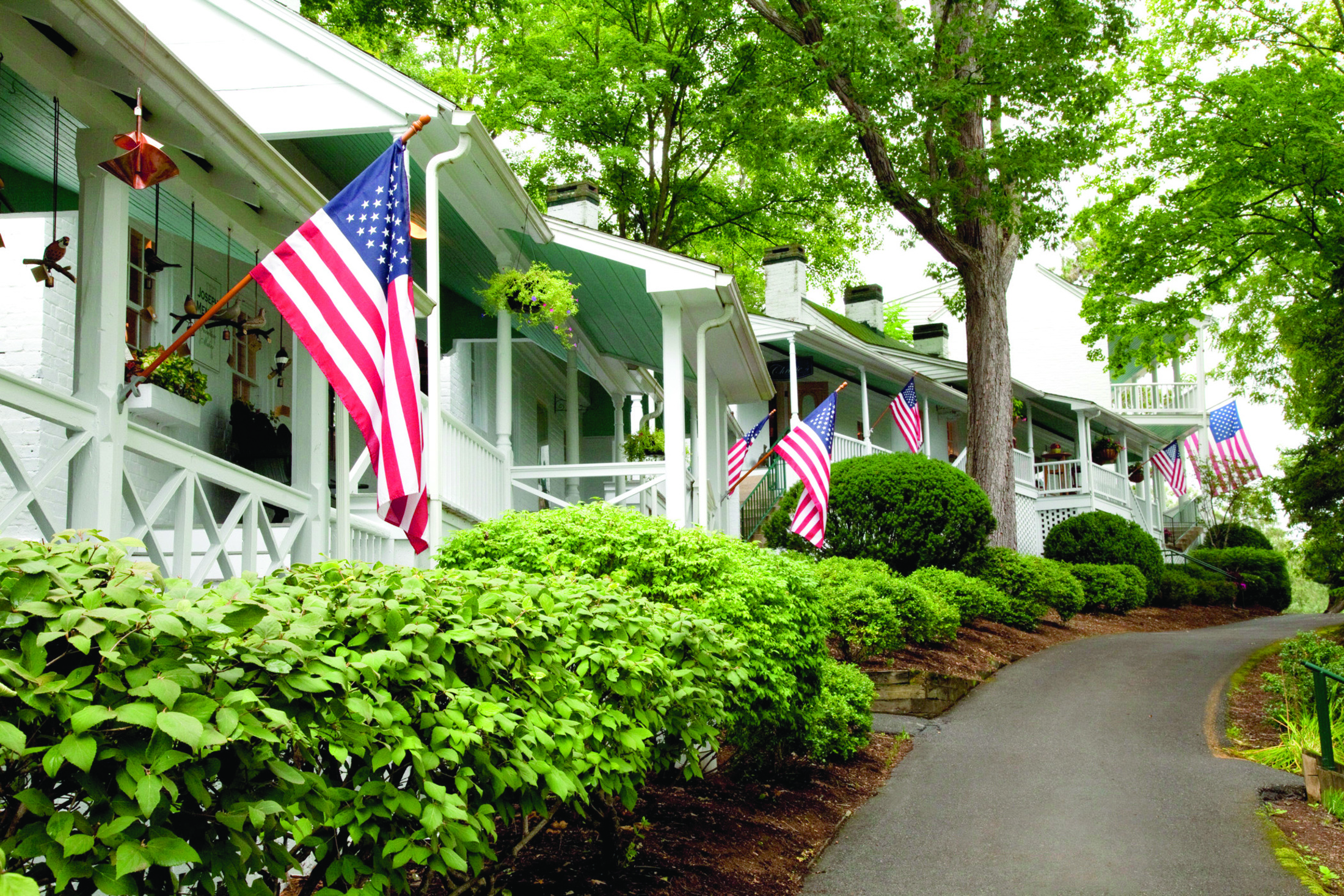 street-with-flags-greenery