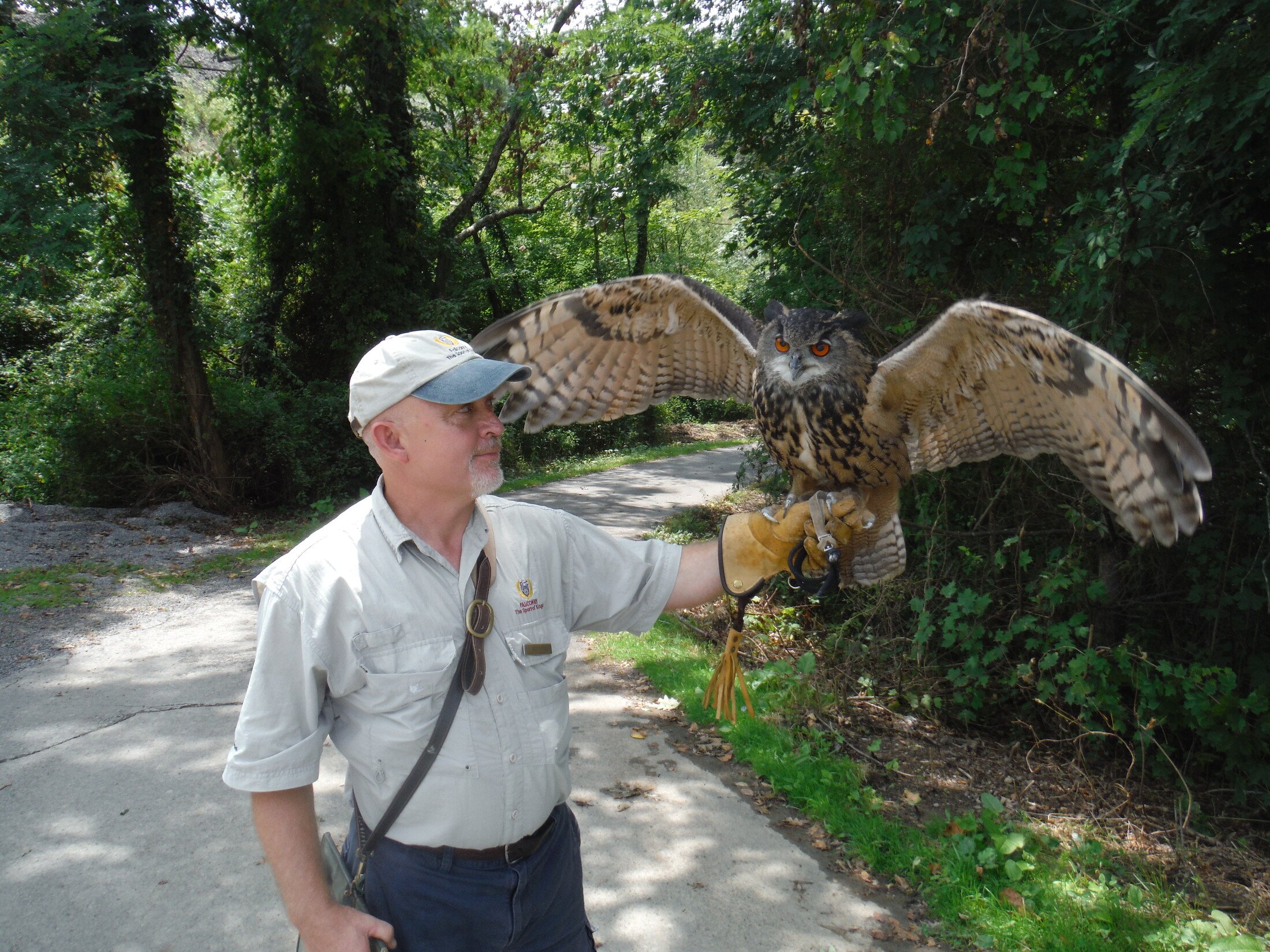 man-holding-owl