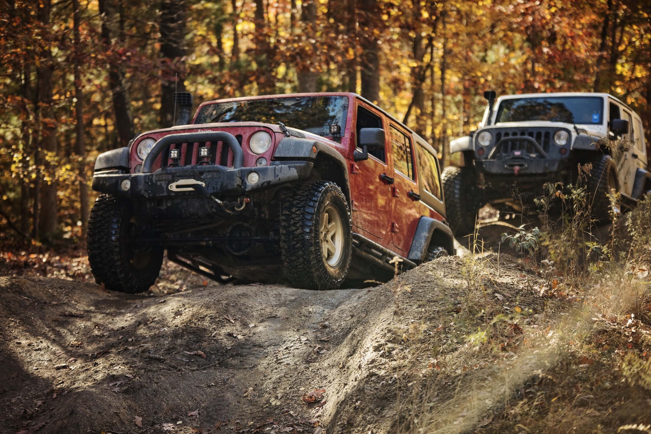 two-jeeps-driving-over-a-hill