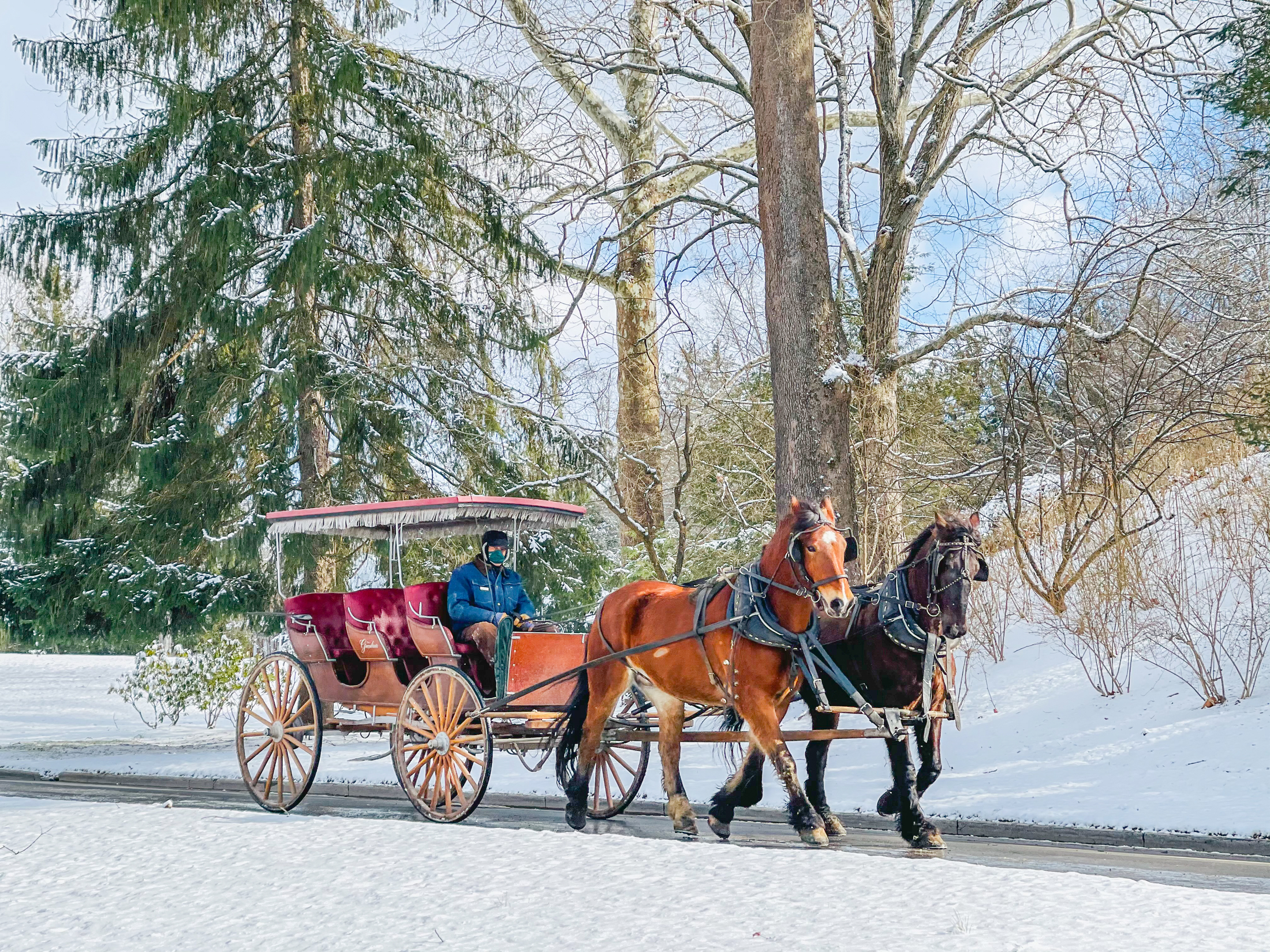 winter-carriage-ride-in-park