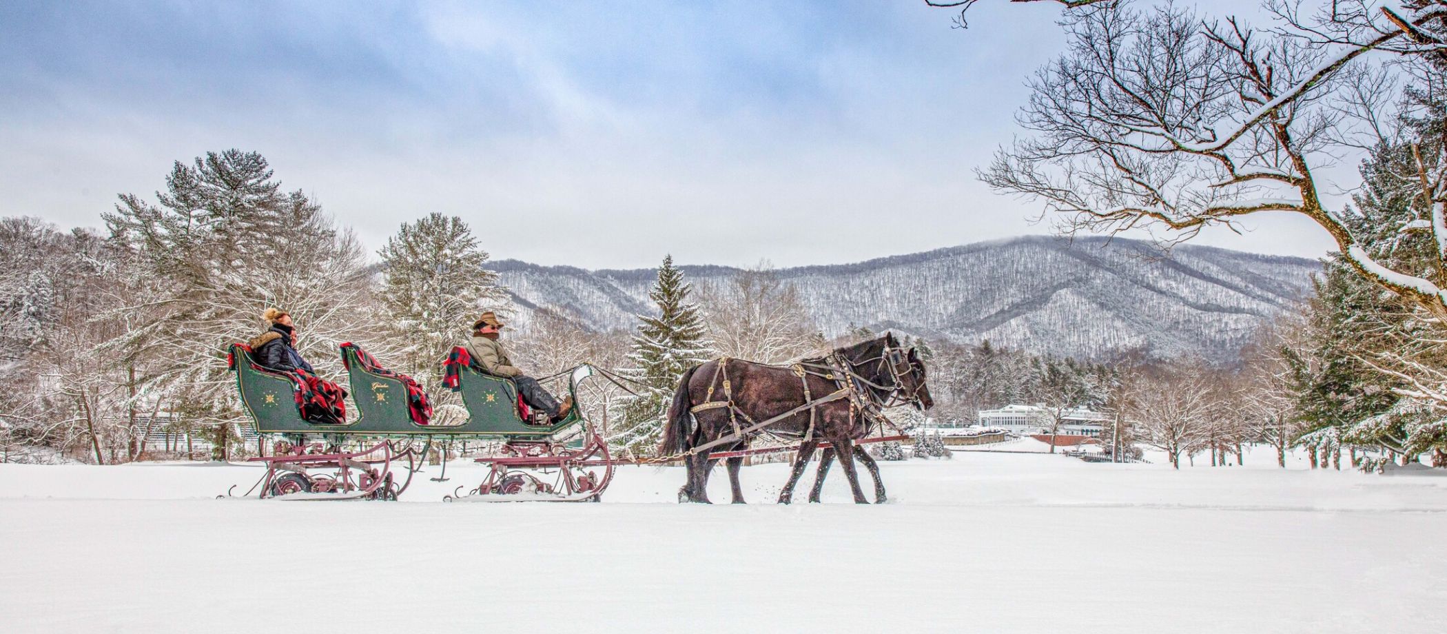 sleigh-ride-with-2-horses