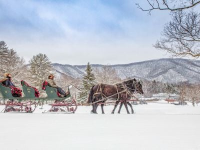 sleigh-ride-with-2-horses