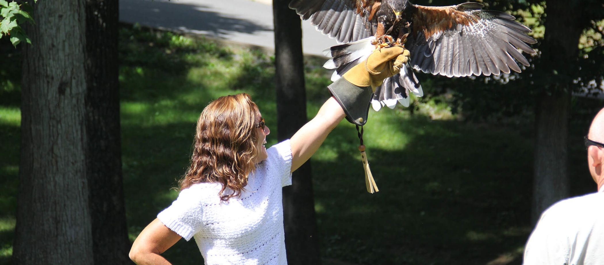 greenbrier_falconry