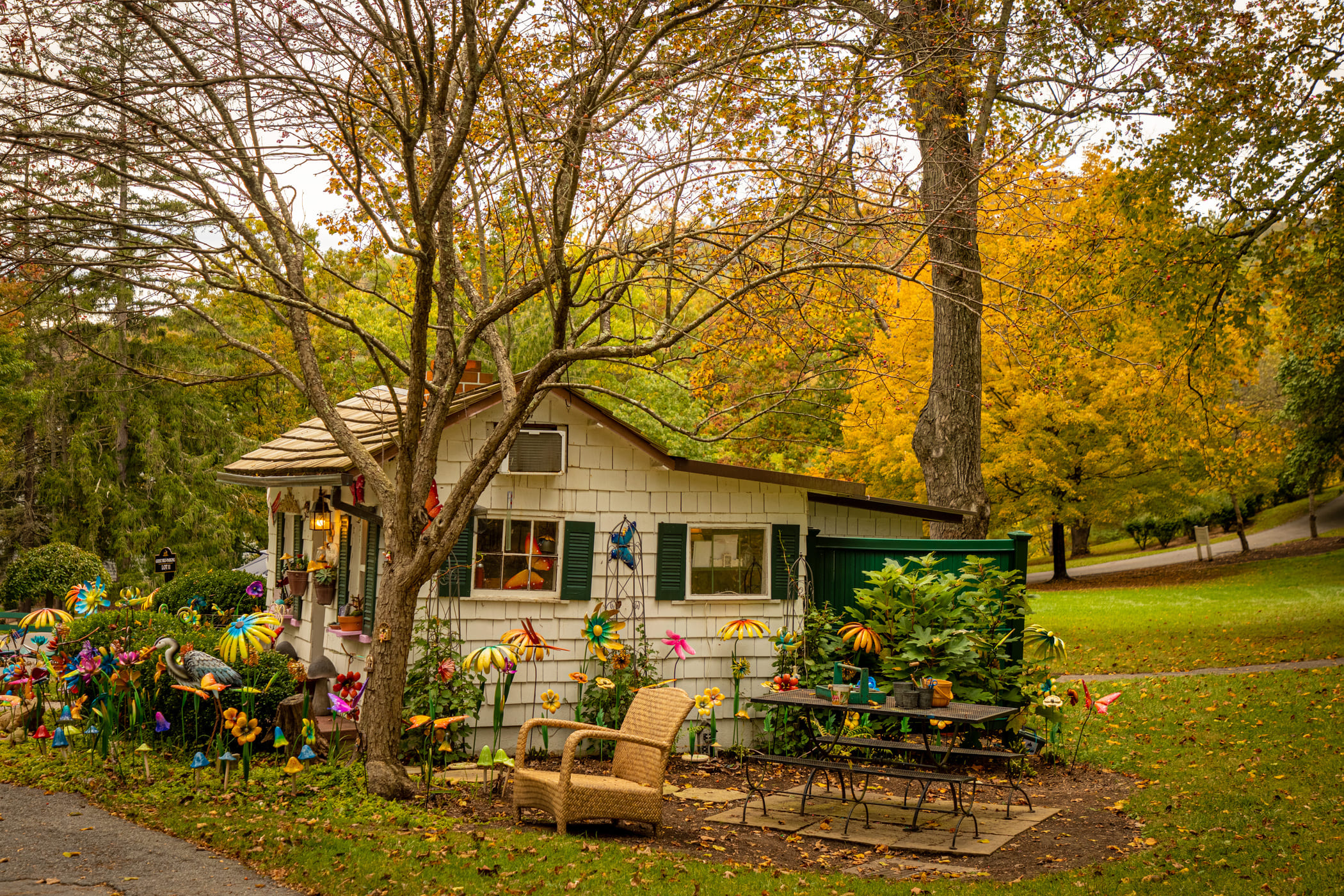 The Doll House