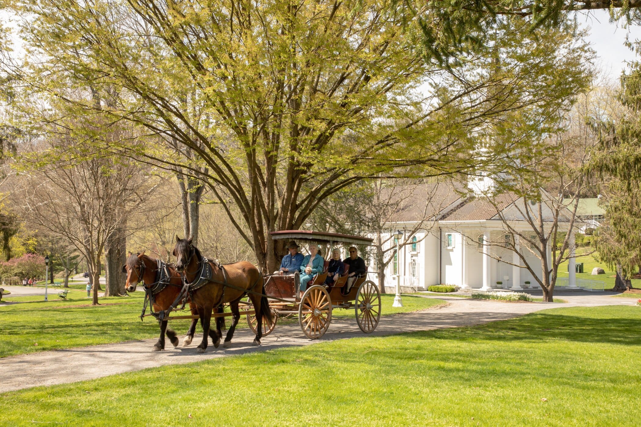 Carriage Rides The Greenbrier Resort
