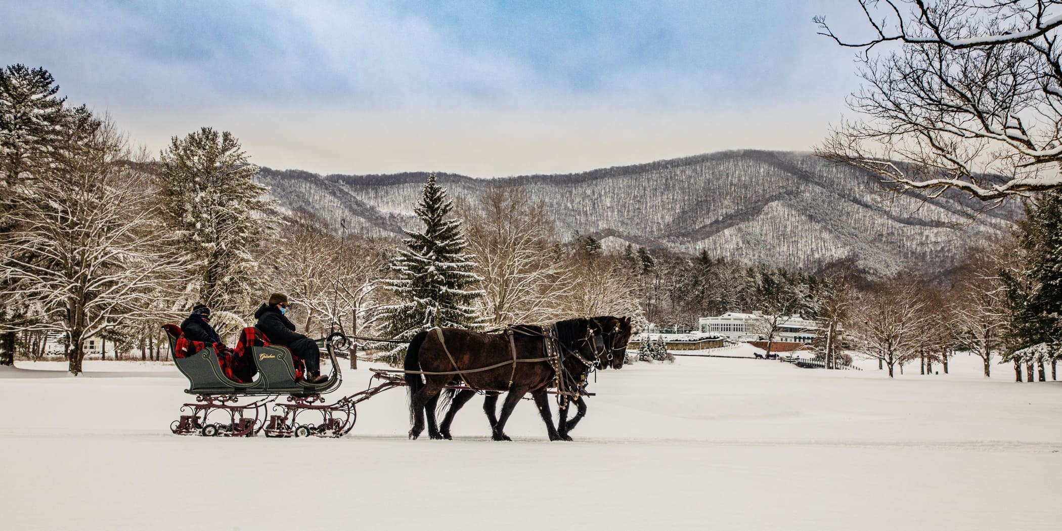 Carriage Ride