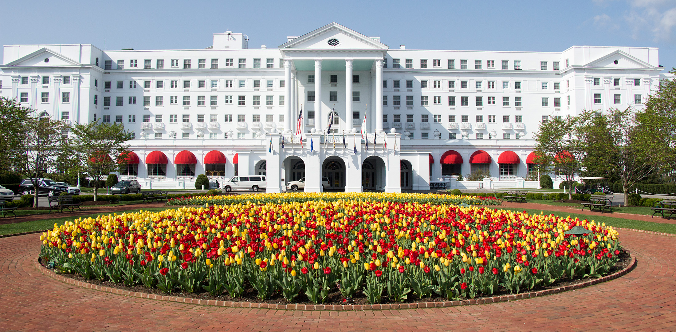 Front Entrance Spring Tulips