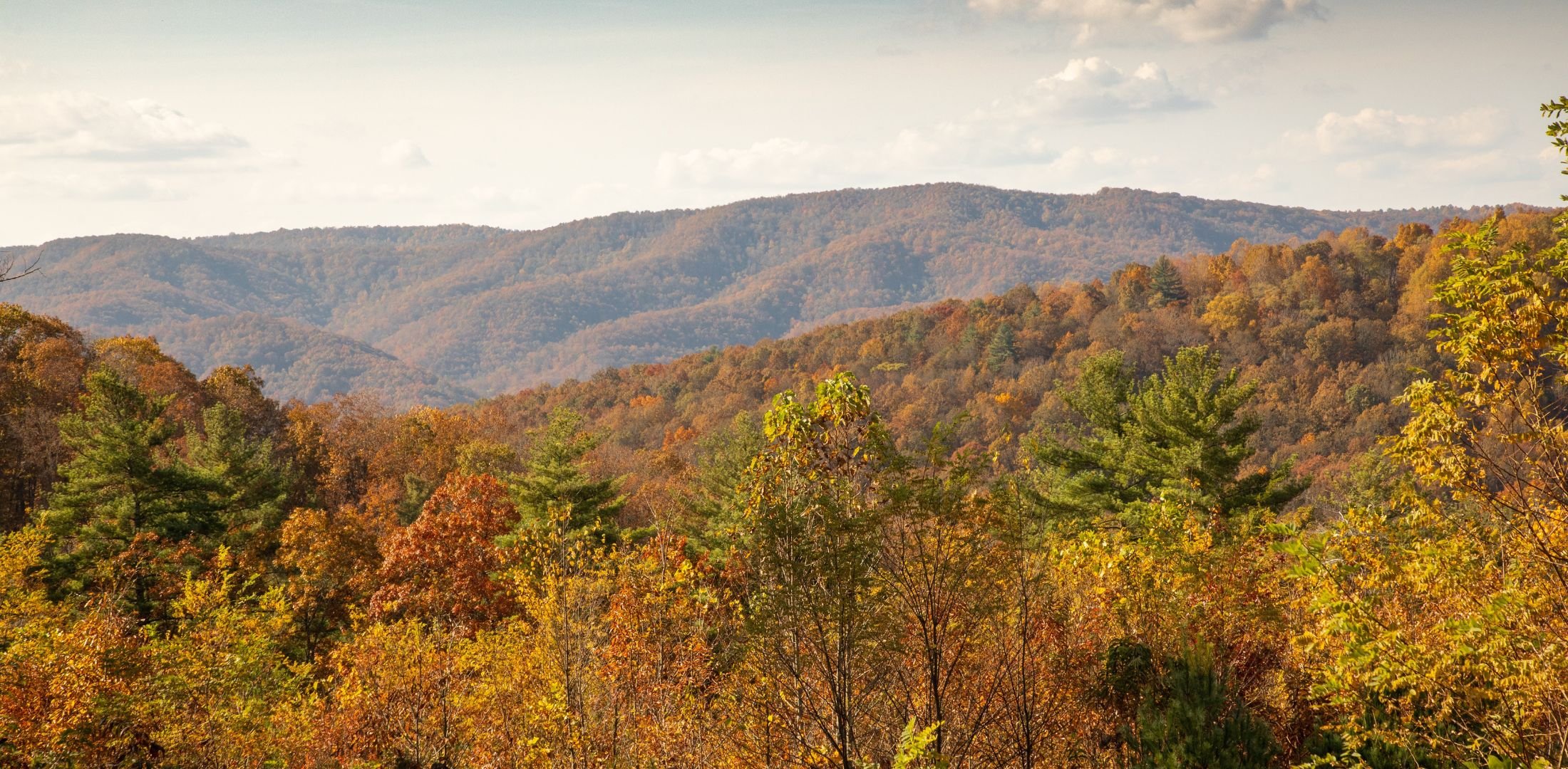 Guided Hike