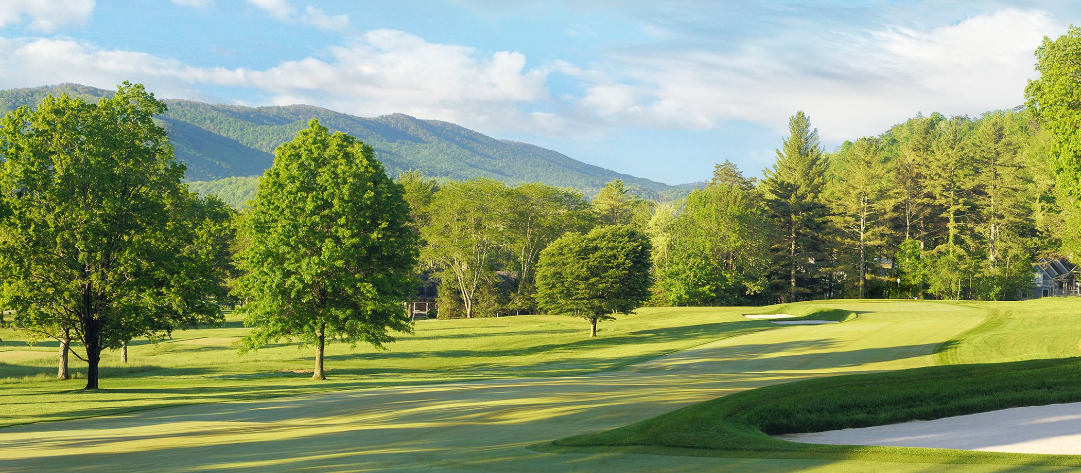 The Old White TPC - Hole 6