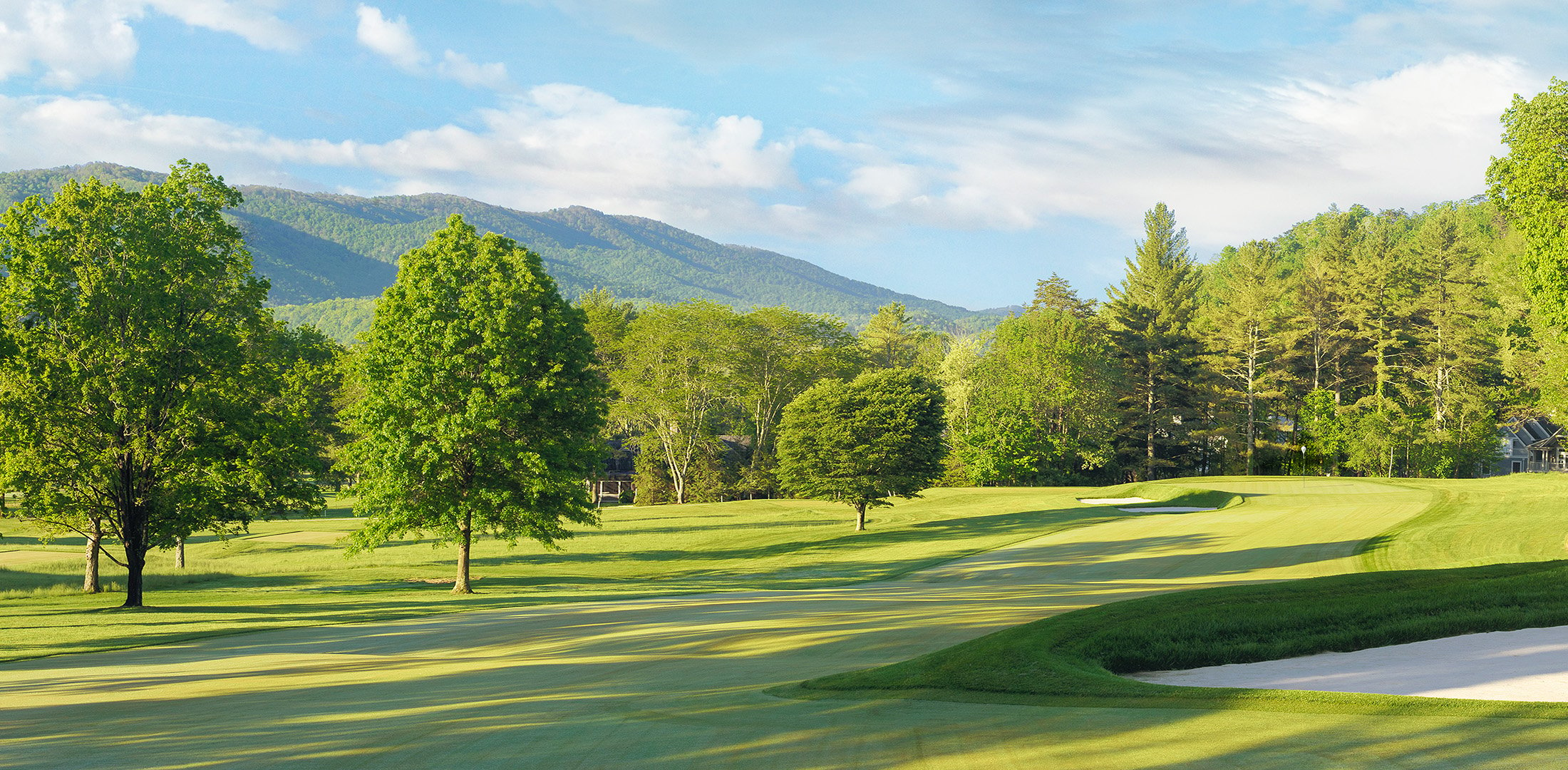 The Old White TPC - Hole 6