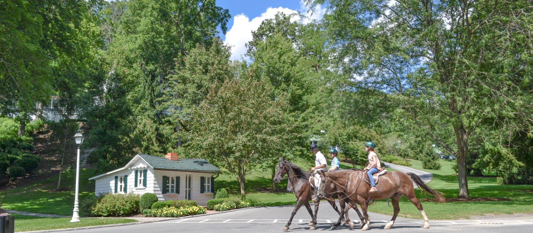 Horseback Riding
