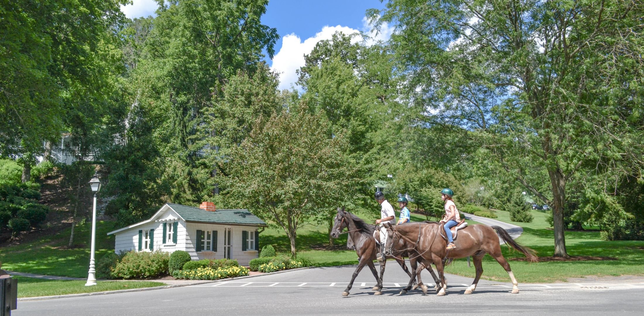 Horseback Riding